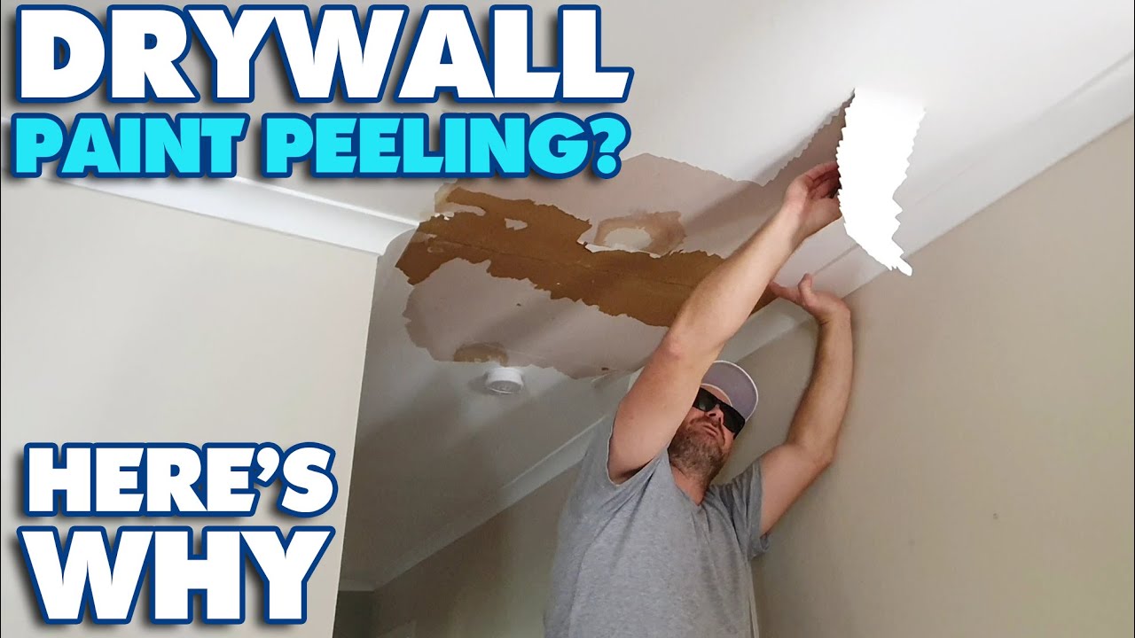 DRYWALL WARNING – Paint Peeling Off Ceiling is Renovators Nightmare